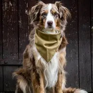 Linen Scarf “Olive”